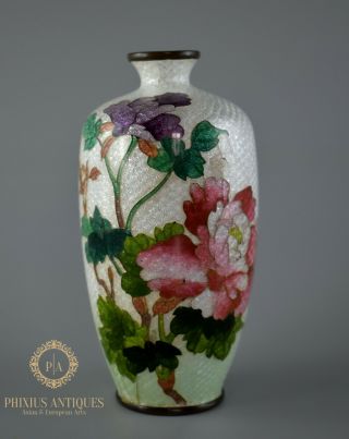 Antique 19th Century Chinese Enamel Cloisonne Vase