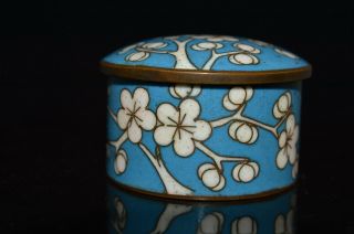 Antique Chinese Blue Ground Plum Blossom Cloisonné Cosmetic Box
