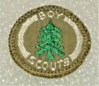 Green Tree Boy Scout Forester Proficiency Award Badge Brown Back Troop Small $1