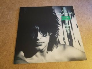 The Waterboys/ A Pagan Place Lp 1984 Island Records 90190