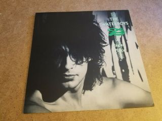 THE WATERBOYS/ A PAGAN PLACE LP 1984 ISLAND RECORDS 90190 2