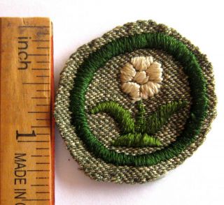 Rare 1928 - 1938 Girl Scout Wild Flower Finder Badge Grey White Anemone Patch