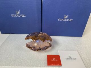 Swarovski Crystal Figurine Vintage Rose Pearl Oyster Clam Shell 1075308