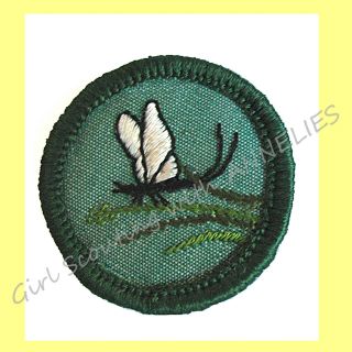 Insect 1960 - 62 Only Intermediate Girl Scout Badge Patch Rare Mayfly Combine