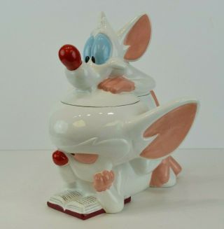 Vintage Ceramic 1997 Animaniacs Pinky & The Brain Cookie Jar