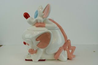 Vintage Ceramic 1997 Animaniacs Pinky & The Brain Cookie Jar 2