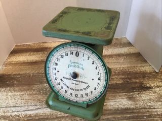 Vintage Antique American Family Kitchen Scale 25 Pounds Green Rustic Farmhouse