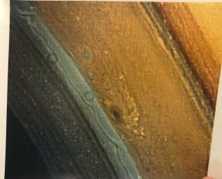 1981 Official Nasa Photo Of Saturn 