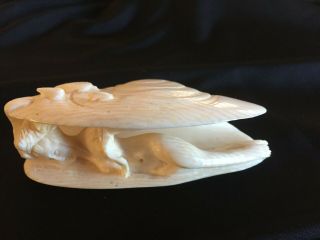 Vintage Chinese Collectible Carved Clam Shell Scene Ivory Tone Nude Woman
