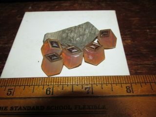 Antique Button Set Of 5 Glass Cube Silver Gold Highlights,  3 - D,  Early 1900 