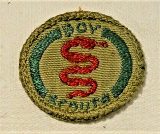 Red Serpent Boy Scout Healthy Man Proficiency Award Badge Brown Back Troop Small