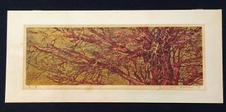 Joichi Hoshi Japanese Woodblock Print Red Branches