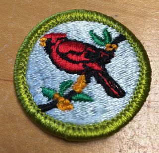 Boy Scouts Bird Study Merit Badge Type H " Blue Backing "