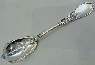 C.  1840 Coin Silver Sugar Spoon W/ Daisies On Handle,  Laconia,  Nh,  S.  E.  Young &co.