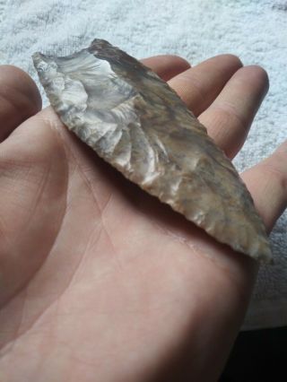 Big Fluted Clovis Spear Arrowhead Ancient Native American Artifact Butler