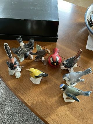 Vintage Goebel Porcelain Bird Figurines Set Of 8