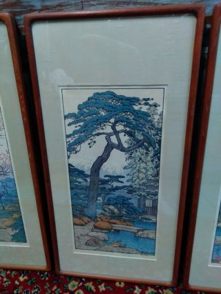 Toshi Yoshida Woodblock Print Pine Tree Of The Friendly Garden Mid Century Frame