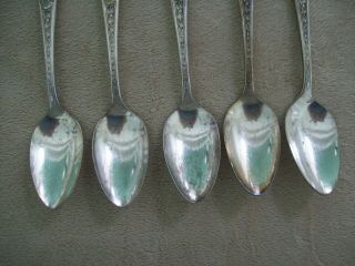 5 National Silver Co A1 Teaspoons,  Rose & Leaf Pattern,  1937,  Silverplate 2