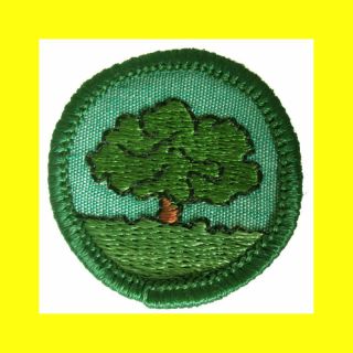 Tree 1960 - 62 Only Intermediate Rare Girl Scout Badge Patch Pine Fir Oak