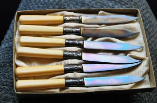 Antique Set Of 6 Knives Sterling Silver Collar Celluloid Handle Universal Brand