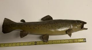 Vintage Trout Taxidermy Fish Mount Brook Brown Rainbow Speckled Lake Greyling
