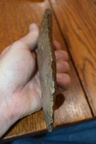 Large Dover Chert Mississippian Flared Spade Williamson Co,  TN 8.  75 x 4.  25 2