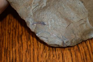 Large Dover Chert Mississippian Flared Spade Williamson Co,  TN 8.  75 x 4.  25 5