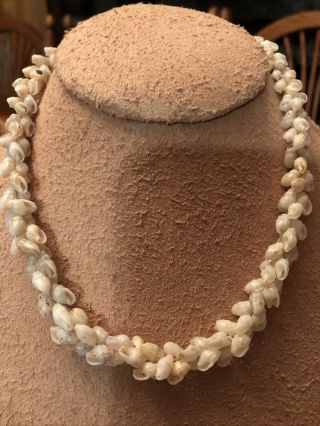 Vintage Niihau Hawaiian Shell Lei Necklace - 17 Inches Long