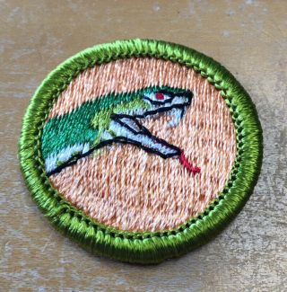 Boy Scouts Reptile Study Merit Badge Type H