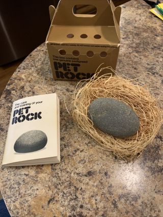 Vtg.  1975 Pet Rock With Carton,  Bedding And Instruction Booklet.  Cool
