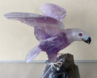 Amethyst Falcon On Smoky Quartz With Tourmaline 9 1/4 " Peter Muller