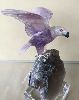 Amethyst Falcon on Smoky Quartz with Tourmaline 9 1/4 