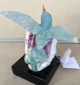 Blue Calcite Hummingbird on Tourmaline in Albite 5 