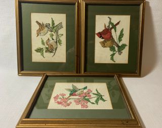 Vintage Needlepoint Glass Framed Bird & Flowers Pictures Embroidered Set Of 3