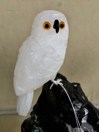 Snowy Owl on Black Tourmaline and Quartz 6 1/2 