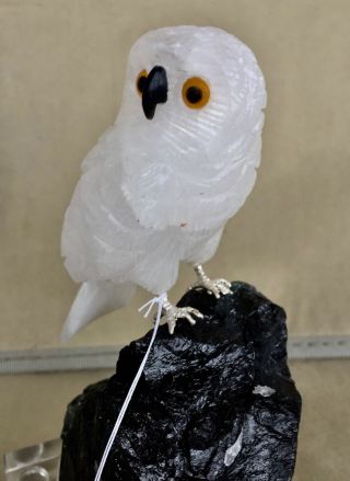 Snowy Owl on Black Tourmaline and Quartz 6 1/2 