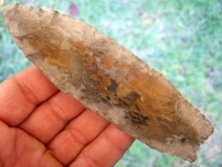 Large Fine Colorful 5 1/4 Inch Tennessee Angostura Point Dual S Arrowheads