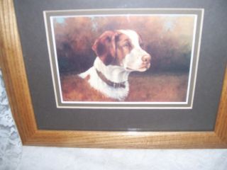 Oak Framed Print Of Brittany Spaniel Bird Dog