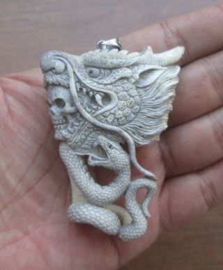 Dragon Snake Skull In Moose Antler Carving Pendant W Silver Bale 01160121