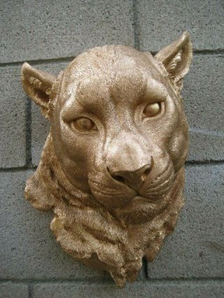 Gold Mountain Lion Lioness Hanging Head Bust Wall Figurine Home Decor Plaque