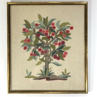 Vintage Crewel Embroidery 1972 Fruit Tree Framed Wall Art 14 X 16