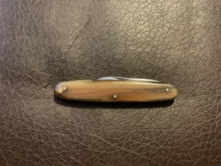 Rich A Herder Horne Pocket Knife Vintage Solingen Germany 2 Blade