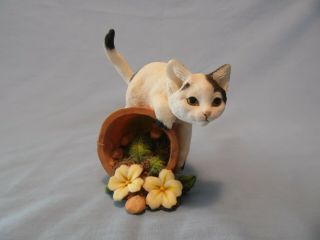 Country Artists " Kitten With Flowerpot " In,
