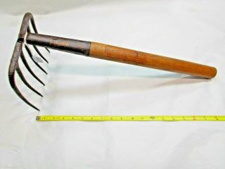 True Temper Clam / Quahog Digger / Rake,  Shell Fish,  Vintage Tool,  Usa