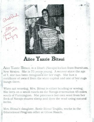 Alice Yazzie Bitsui Navajo Woven Wool Rug 32 