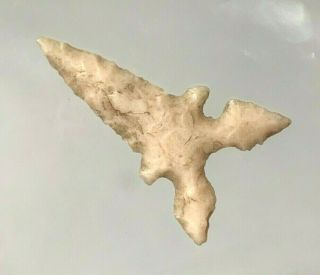 Exceptional Toyah Point Webb Co. ,  Texas Authentic Arrowhead Artifact B42615
