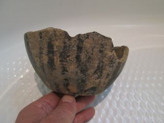 Ancient Heavy Pre Anasazi Southwestern Black On White Pot
