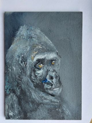 Aceo William Jamison Miniature Oil Painting Gorilla Primate Ape