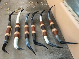 MOUNTED STEER HORN 4 ' feet TO 4 ' 5 