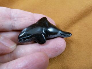Y - Wha - Ki - 564) Little Baby Black Onyx Killer Whale Orca Gemstone Carving Whales